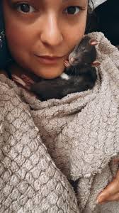 Have any of you tried radiotherapy for a pituitary tumor in your dog?