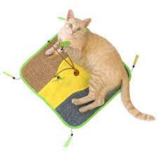 Portfolio << video >> legal notice : Kitty City Wobble Play Mat For Cats Large Petco