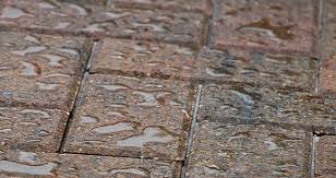 But over time, they can start to look tired and worn. Protecting Your Interlocking Pavers Tips On Using A Sealer