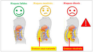 Comment perdre du ventre rapidement et l'aplatir sans régime contraignant ? 6 Strategies Prouvees Scientifiquement Pour Perdre Du Ventre Santez Vous Bien