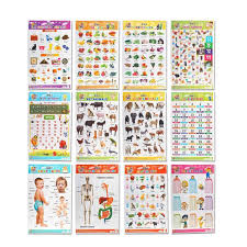 Mehta Graphics Pre School Learning Charts For Kids Combo