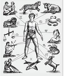 Feel happy and celebrate with loved ones. The Man Of Signs Connecting The Zodiac To The Body The Old Farmer S Almanac