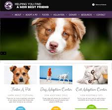 Olive escaped from the home she was on adoption trial at in cary. Adoption Agencies Archives Page 2 Of 2 Companah Pet Cremation And Aftercare