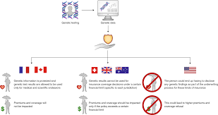 Genetic Testing Insurance Discrimination And Medical