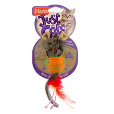 Cats love to hunt small prey and will often bring home what they catch. Save On Hartz Just For Cats Catnip Filled Roll About Mouse Order Online Delivery Giant