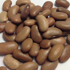 If you're looking for the same fine attributes of the kentucky wonder pole bean, only in a bush habit, this bean is for you. Kentucky Wonder Bean Seeds Urban Farmer