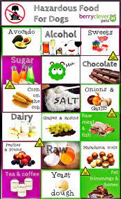 Hazardous Food For Dogs Dog Food Recipes Best Dog Food Puppy Food