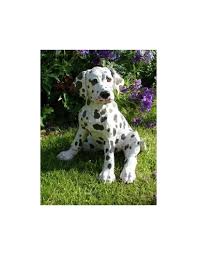 Related searches for dalmatian puppies: Dalmatian Puppies For Sale Gender Female