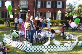 This blog post has been on the back burner for a few weeks now while i try to catch up on my wedditing backlog, but i figure since aylah's party was nov. 20 Of The Best Ideas For Petting Zoo Birthday Party Petting Zoo Birthday Party Zoo Birthday Party Petting Zoo Birthday