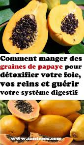 Comment Manger Des Graines De Papaye Pour Detoxifier Votre Foie Vos Reins Et Guerir Votre Systeme Digestif Graines Papaye Foie Reins Nutrition Fruit Detox