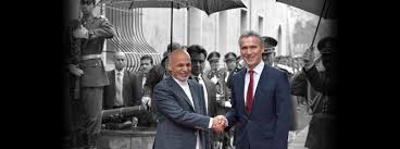 Nato tells russia to stop military buildup around ukraine. What Is Nato