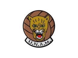 We have 45 free pumas vector logos, logo templates and icons. La Historia Detras Del Escudo De Los Pumas De La Unam Deportes Liga Mx Tudn Univision