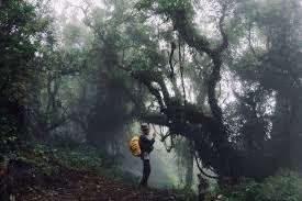 Di belahan selatan pulau laki, terdapat simbol hijau bertuliskan sos. 10 Gunung Di Pulau Jawa Yang Dikenal Paling Angker Berani Mendaki