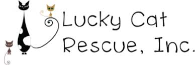 Adopting a pet means you need to commit to and take care of it for please note that the cat welfare society is not a shelter and we do not house any cats. Lucky Cat Rescue