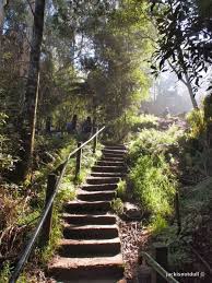 1000 Breathtaking Steps Dandenong Ranges Melbourne The Great Outdoors 1000 Steps Get Outside