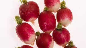 Image result for Raphanus