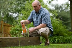 Check spelling or type a new query. 9 Homemade Pesticides For Your Flower Garden