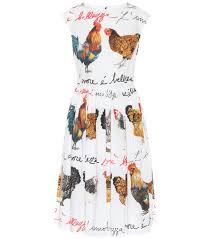 Dolce Gabbana Hen Printed Cotton Poplin Dress Mytheresa Poplin Dress Dresses Cotton Dresses