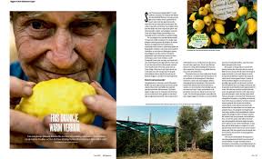 articolo-magazine-germania-il-giardino-di-vigliano-2.jpg?v=d460