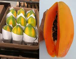 Variety (botany), a formal rank in botanical taxonomic nomenclature. New Papaya Variety Results In Higher Yield