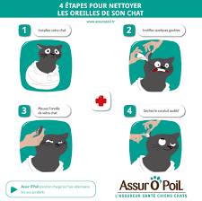 Vous Ne Savez Pas Comment Faire Pour Nettoyer Les Oreilles De Votre Chat Suivez Notre Infographie Nettoyer Oreille Chien Nettoyer Les Oreilles Laver Son Chat