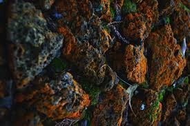 If mold is there, you'll be able to smell it. How To Stop Mold Growth Complete Guide Aer Industries