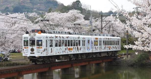和歌山電鐵貴志川線貓列車