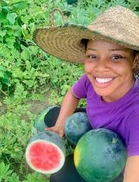 Watermelon farming and care tips