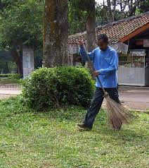 Penyapu, penyapu dan penyodok, penyapu dan penyodok in english, penyapu in english, penyapu jerami, penyapu lantai, penyapu lidi, penyapu plastik. Broom Wiktionary