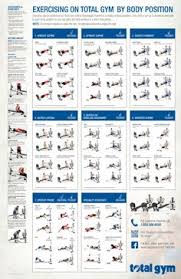 Iron Gym Workout Wall Chart Pdf Bedowntowndaytona Com
