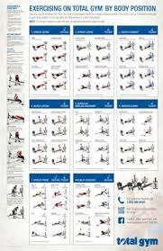 Iron Gym Workout Wall Chart Pdf Bedowntowndaytona Com