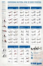 iron gym workout wall chart pdf bedowntowndaytona com