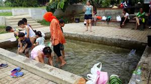 We did not find results for: Rumah Air Bogor Picture Of Rumah Air Bogor Tripadvisor