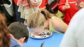 Mossyrock Blueberry Festival