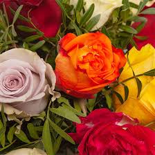 Alle rosen werden sofort nach erhalt ausgepackt. Strauss Mit Rosen Aus Ecuador Rosen Lieferung Aquarelle