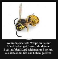 Arbeit Lustig Witzig Bild Bilder Spruch Spruche Kram Wespe Chef Arbeit Lustig Lustig Humor Lustige Bilder