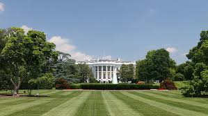 Trump announced she was renovating the iconic garden late july to modernise the outdoor space for televised events. Melania Trump Criticised For White House Rose Garden Renovation