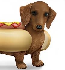 The Hamilton Collection One Hot Dog Bone Appetit Dachshund Collection