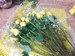 Maybe you would like to learn more about one of these? Floral Industry Left Reeling From Pandemic Freeze Slow To Return