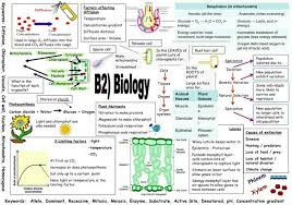 B2 Biology Mind Map Biology Revision Gcse Biology Revision Gcse Science Revision