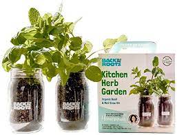 Amazon Com Organic Indoor Herb Garden Kit By Back To The Roots Non Gmo Basil And Mint Plants Starter Kit W Indoor Herb Garden Herb Garden Kit Herbs Indoors