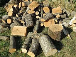 Find opening hours and closing hours from the firewood & peat fuel category in staten island, ny and other contact details such as address, phone opening hours for firewood & peat fuel in staten island, ny. Firewood Staten Island Ny