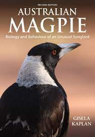 Magpies are a group of birds in the corvidae, or crow, family. Australian Magpie Biology And Behaviour Of An Unusual Songbird Kaplan Gisela Amazon De Bucher