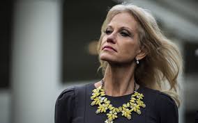 A longtime pollster and analyst, conway specializes in polling data concerning women and younger voters. Why Did Kellyanne Conway Ask A Jewish Reporter About His Ethnicity The Times Of Israel