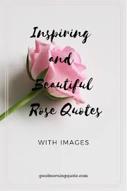 Are You Looking For Inspirational And Beautiful Rose Quotes Well You Have Come To The Right Place In Thi Rose Quotes Rose Love Quotes Smile Quotes Beautiful