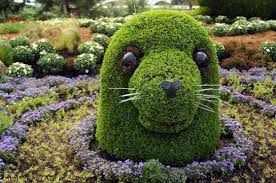 10 Amazing Animal Bush Sculptures Topiary Flower Sculptures Topiary Garden