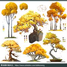 她花了14年時間拍遍全球最古老的樹 有的已經4000歲了 每日頭條 ancient tree tree forest photo tree