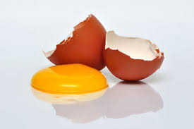 Mais combien de grammes par jour ? Le Cholesterol Et Le Jaune D Oeuf Faut Il Manger Des Oeufs