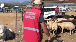 Islahiye De Veterinerler Kurbanliklari Denetledi Gaziantep