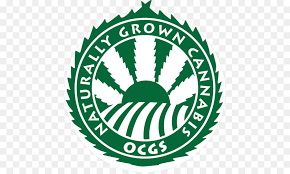 Logo resolution up to 300 dpi, color (cmyk) and fully layered logo design. Green Leaf Logo
